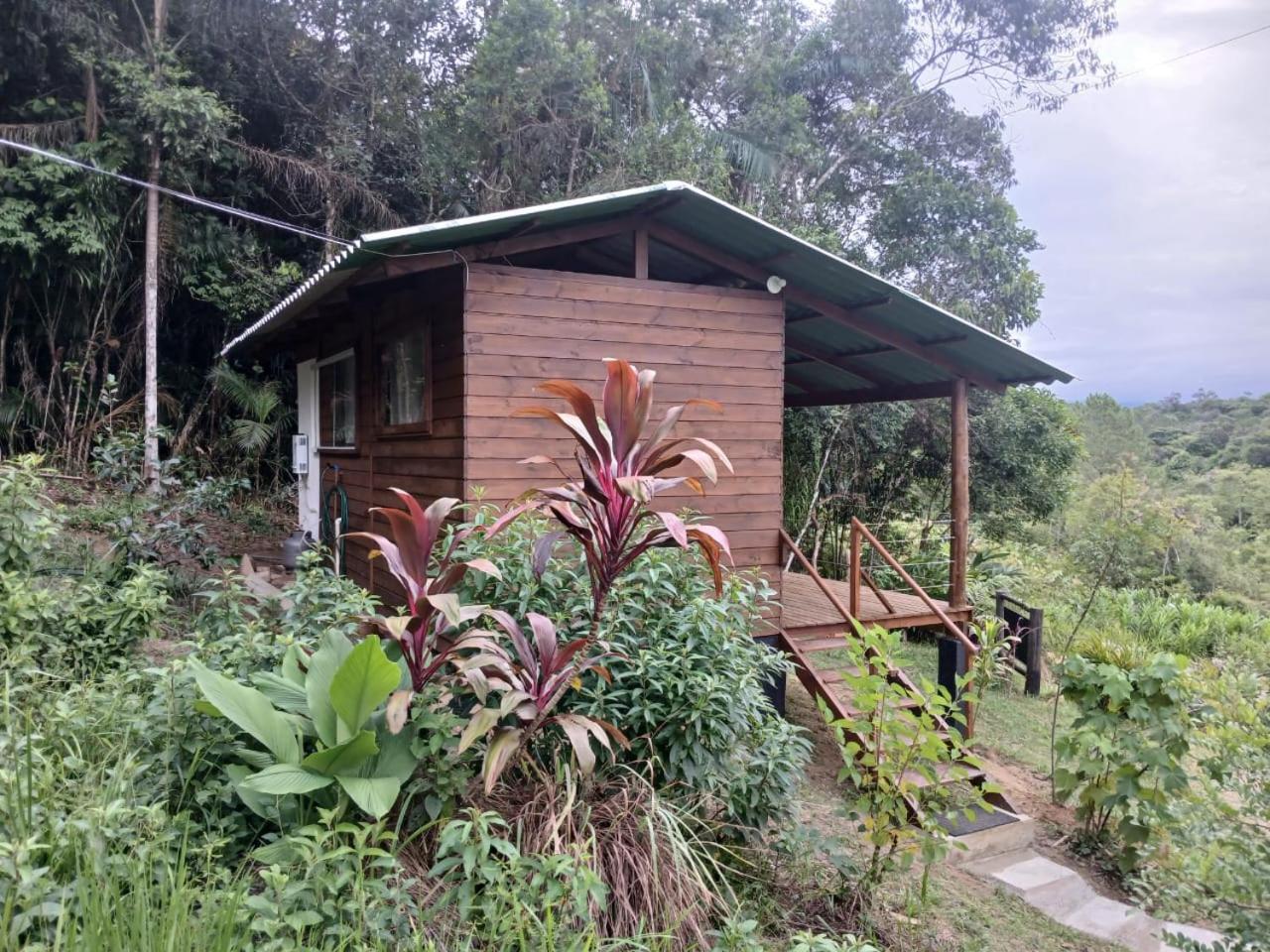 Cabana Manaca Da Serra Morretes Buitenkant foto